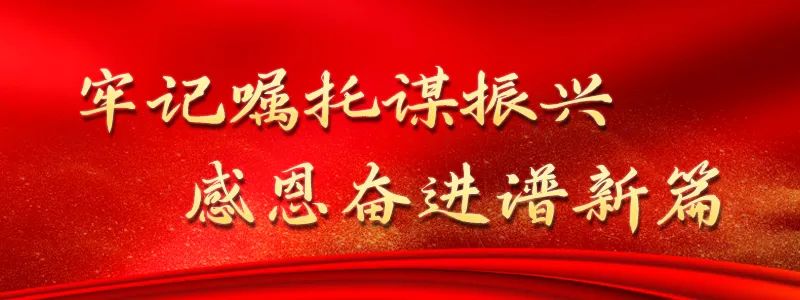 1708669944417534.jpg 11.jpg